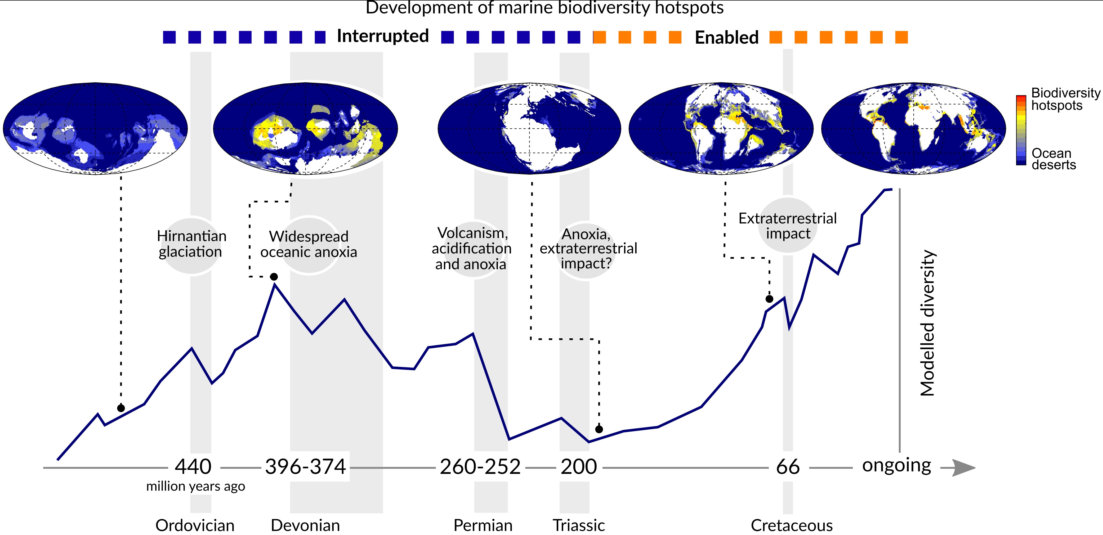 Marine biodiversity hotspots credit Pedro Cermeno